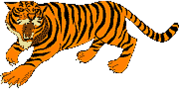 Tiger Population Conservation